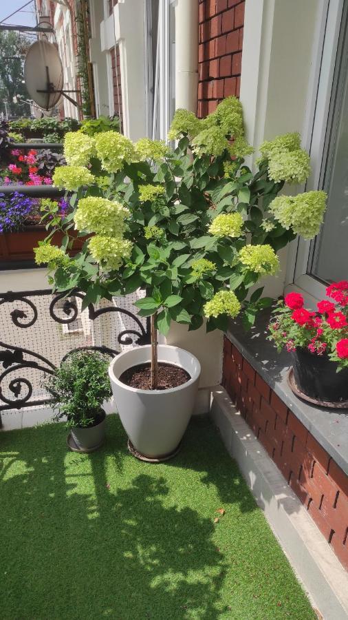 Apartament Przy Galerii Forum Gliwice Witkiewicza Luaran gambar
